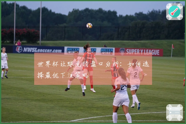 世界杯让球竞猜盘口分析：如何选择最优下注策略