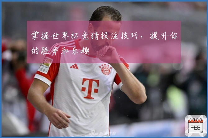 掌握世界杯竞猜投注技巧，提升你的胜率和乐趣