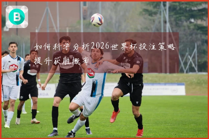 如何科学分析2026世界杯投注策略提升获胜概率