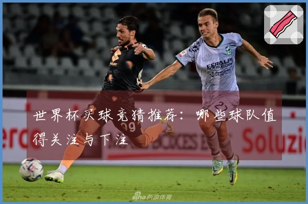世界杯买球竞猜推荐：哪些球队值得关注与下注