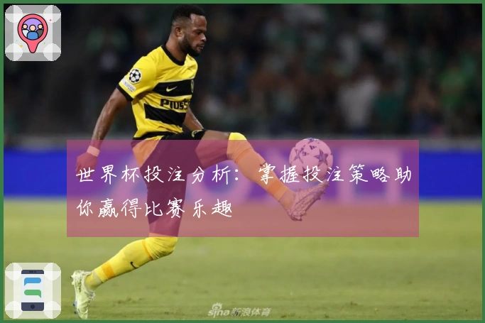 世界杯投注分析：掌握投注策略助你赢得比赛乐趣