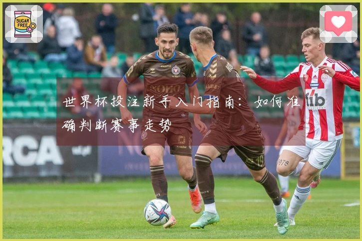 世界杯投注新手入门指南：如何准确判断赛事走势
