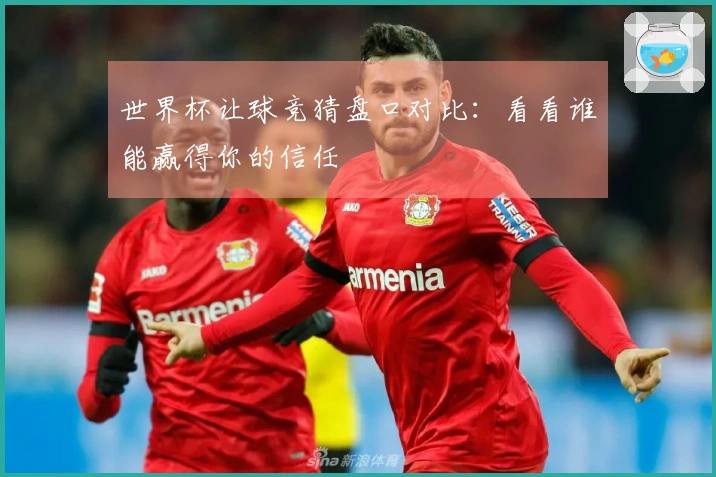 世界杯让球竞猜盘口对比：看看谁能赢得你的信任