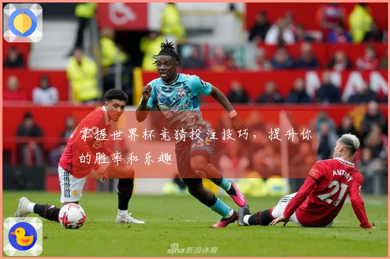 掌握世界杯竞猜投注技巧，提升你的胜率和乐趣